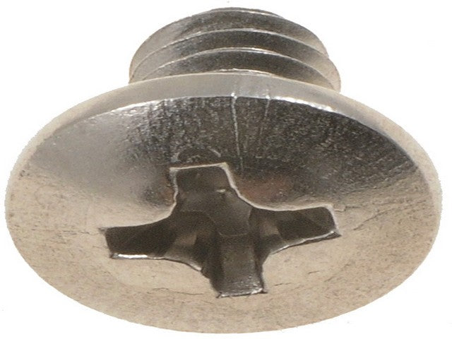 Screw Dorman-AutoGrade 896-825