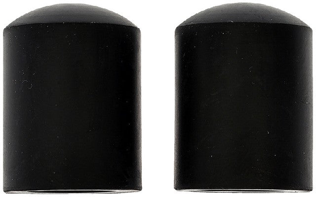 Vacuum Cap Dorman-Help 02250