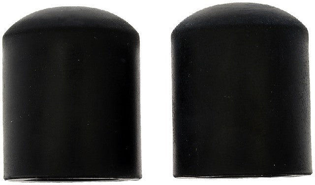 Vacuum Cap Dorman-Help 02251