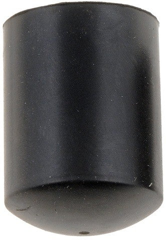 Vacuum Cap Dorman-Help 02252