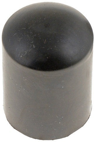 Vacuum Cap Dorman-Help 02252