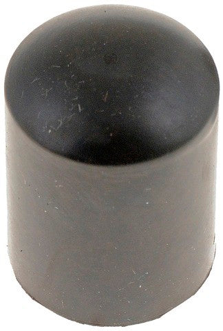 Vacuum Cap Dorman-AutoGrade 493-100