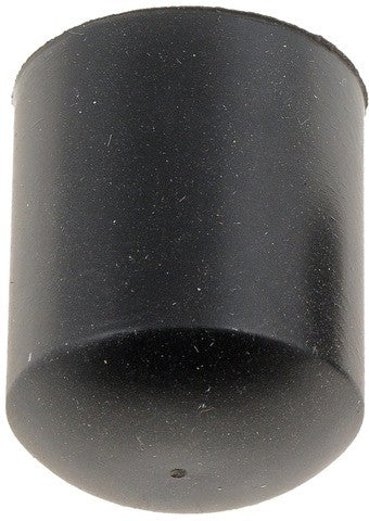 Vacuum Cap Dorman-Help 02254