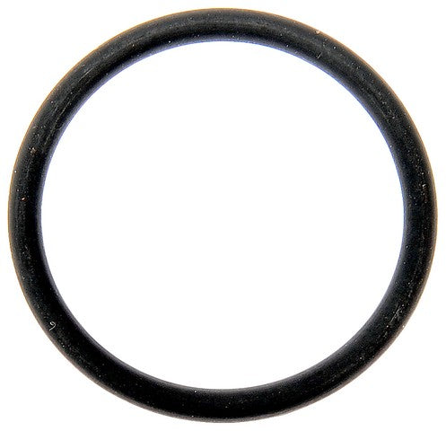 Fuel Injector O-Ring Dorman-OE Solutions 030-819