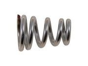 Exhaust Spring Dorman-Help 03081
