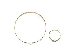 CV Joint Boot Band Dorman-Help 03635