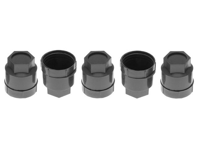 Wheel Nut Cover Raybestos Brakes 10005N