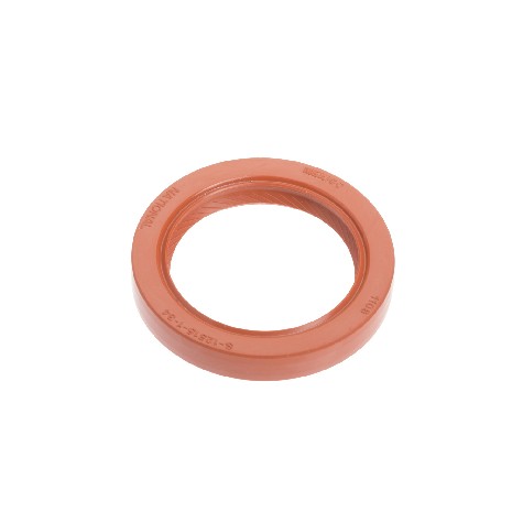 Engine Camshaft Seal National Bearings & Oil Seals 1108