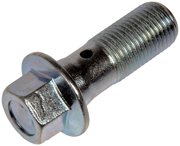 Brake Hydraulic Hose to Caliper Bolt Dorman-Help 14100