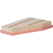 Engine Air Filter Premium Guard PA99784