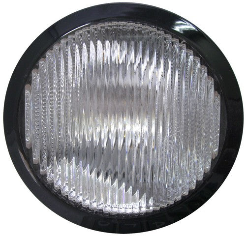 Fog Light Assembly Dorman 1631254