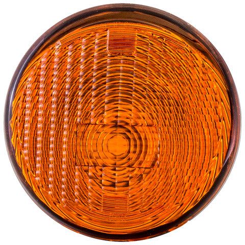 Parking Light Assembly Dorman 1631375