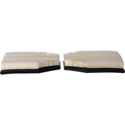 Engine Air Filter Premium Guard PA99068K