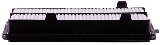 Engine Air Filter Premium Guard PA99481