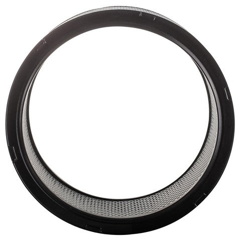 Engine Air Filter Premium Guard PA3384