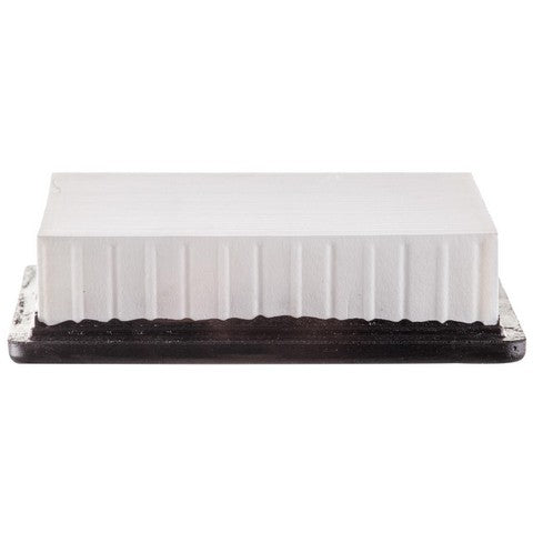 Engine Air Filter Premium Guard PA6169