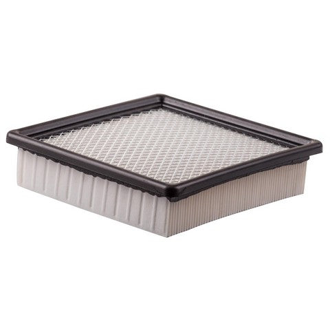 Engine Air Filter Premium Guard PA6169
