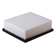 Engine Air Filter Premium Guard PA99095