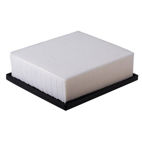 Engine Air Filter Premium Guard PA99095