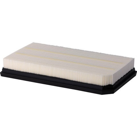 Engine Air Filter Premium Guard PA99830