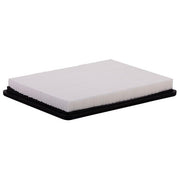 Engine Air Filter Premium Guard PA5513