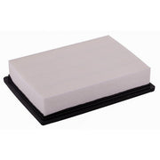 Engine Air Filter Premium Guard PA6273