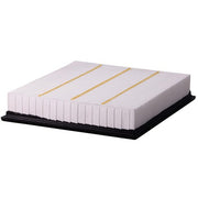 Engine Air Filter Premium Guard PA99534