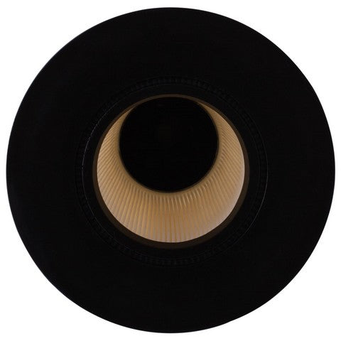 Engine Air Filter Premium Guard PA4879