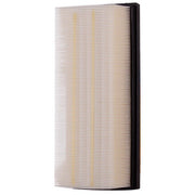 Engine Air Filter Premium Guard PA99517