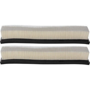 Engine Air Filter Premium Guard PA99694K
