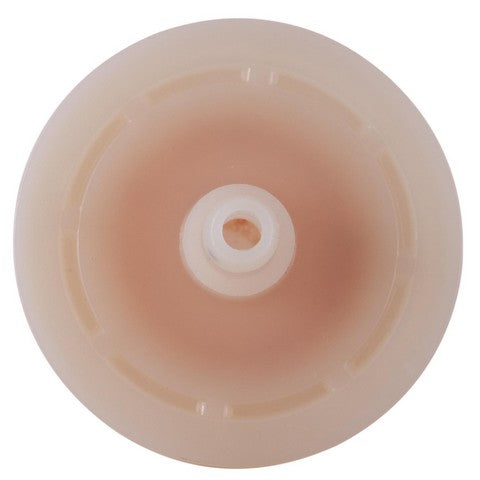 Fuel Filter Premium Guard PL5/16