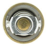 Engine Coolant Thermostat MotoRad 237-192