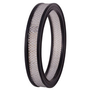 Engine Air Filter Premium Guard PA124