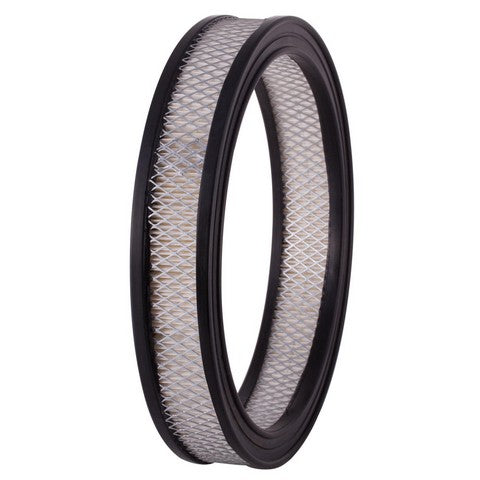 Engine Air Filter Premium Guard PA124