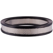 Engine Air Filter Premium Guard PA124