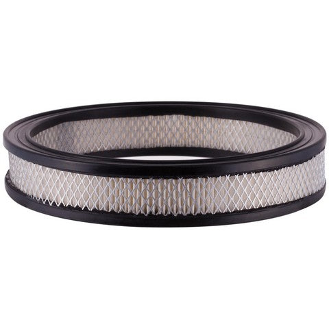 Engine Air Filter Premium Guard PA124