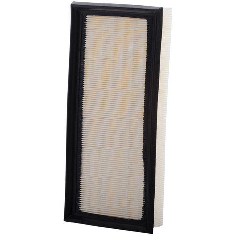 Air Filter Premium Guard PA1353
