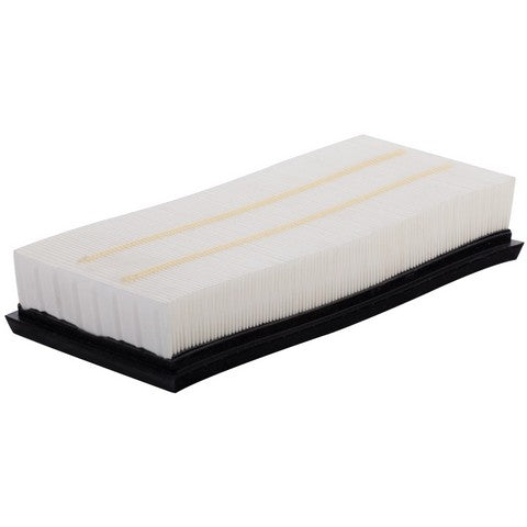 Air Filter Premium Guard PA1353