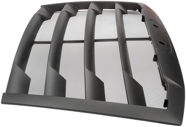 Grille Dorman-HD Solutions 242-6044