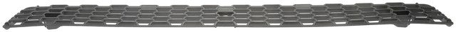 Grille Dorman-HD Solutions 242-6045