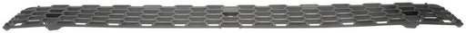 Grille Dorman-HD Solutions 242-6045