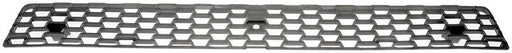Grille Dorman-HD Solutions 242-6045