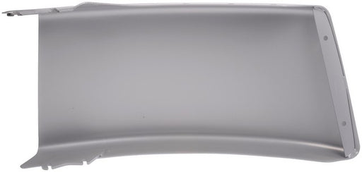 Bumper Dorman-HD Solutions 242-6062