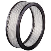 Engine Air Filter Premium Guard PA91