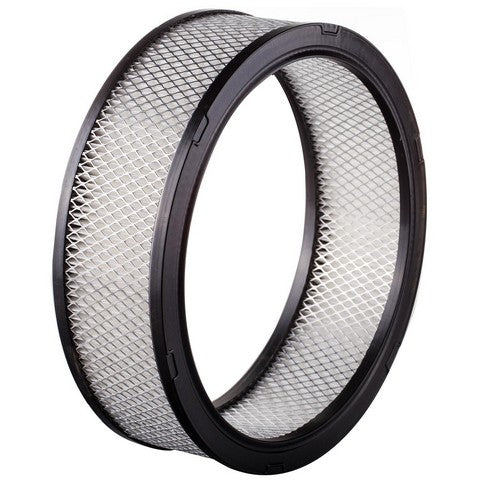 Engine Air Filter Premium Guard PA91