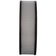 Engine Air Filter Premium Guard PA91