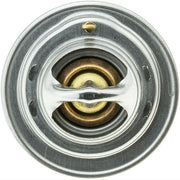 Engine Coolant Thermostat MotoRad 244-160