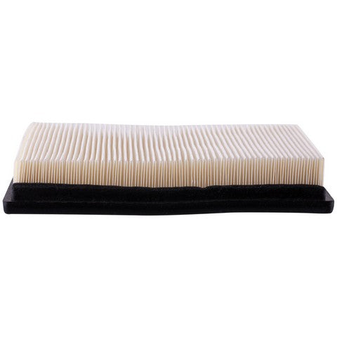Engine Air Filter Premium Guard PA5461