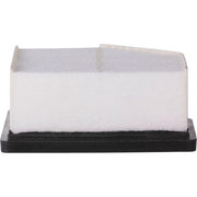 Engine Air Filter Premium Guard PA99957