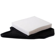 Engine Air Filter Premium Guard PA6165